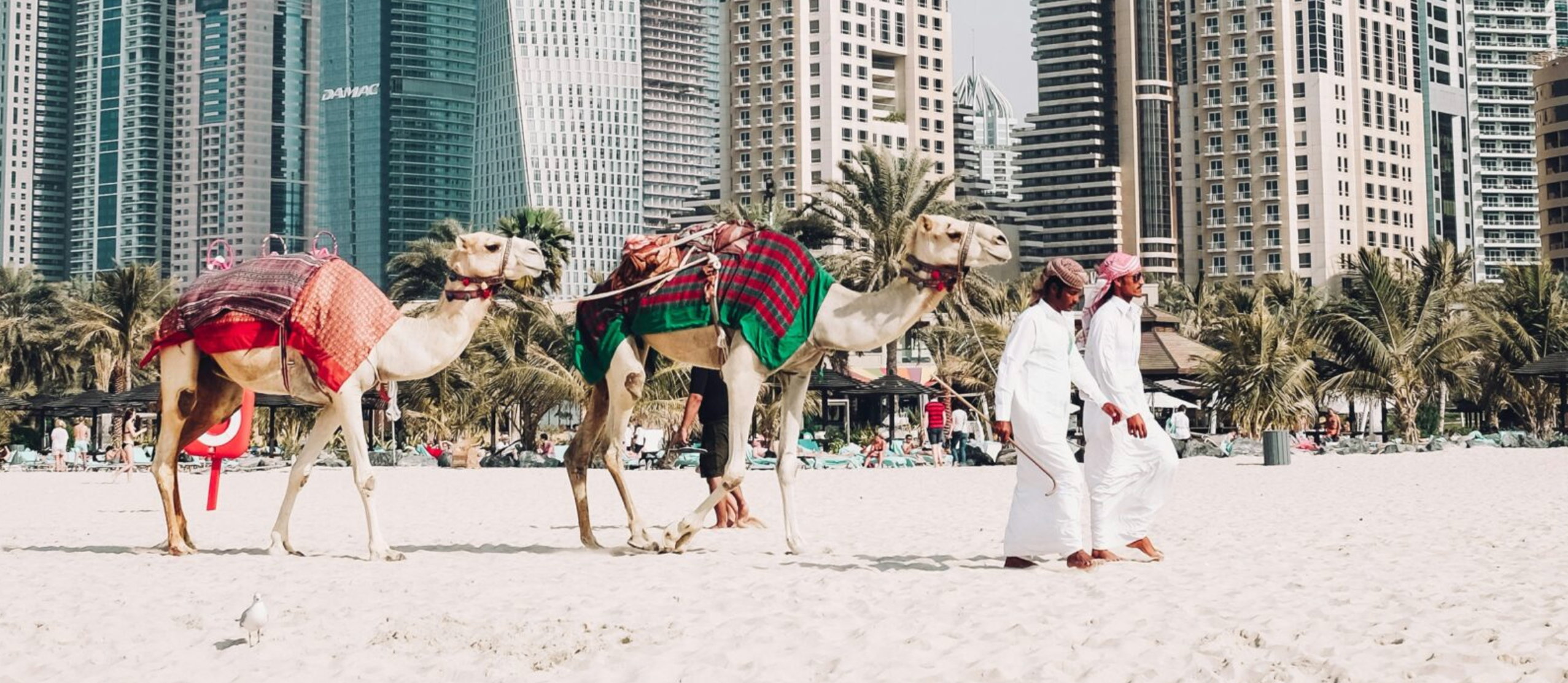 Experiences for expats in Dubai